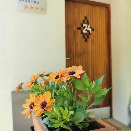 Apartma Rekar - A House, Where You Can Relax In The Embrace Of Nature Есенице Экстерьер фото