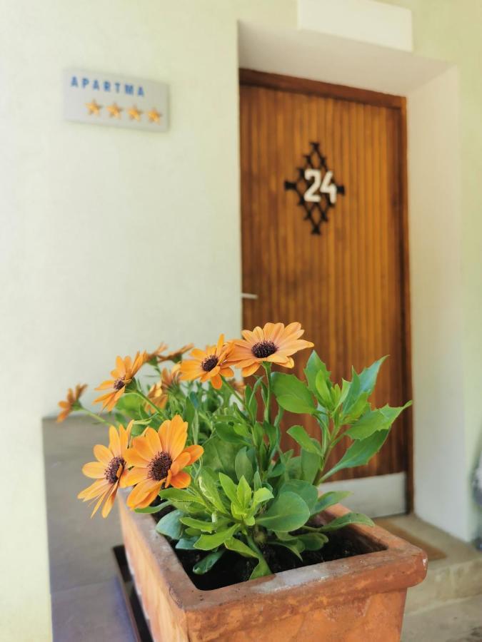 Apartma Rekar - A House, Where You Can Relax In The Embrace Of Nature Есенице Экстерьер фото