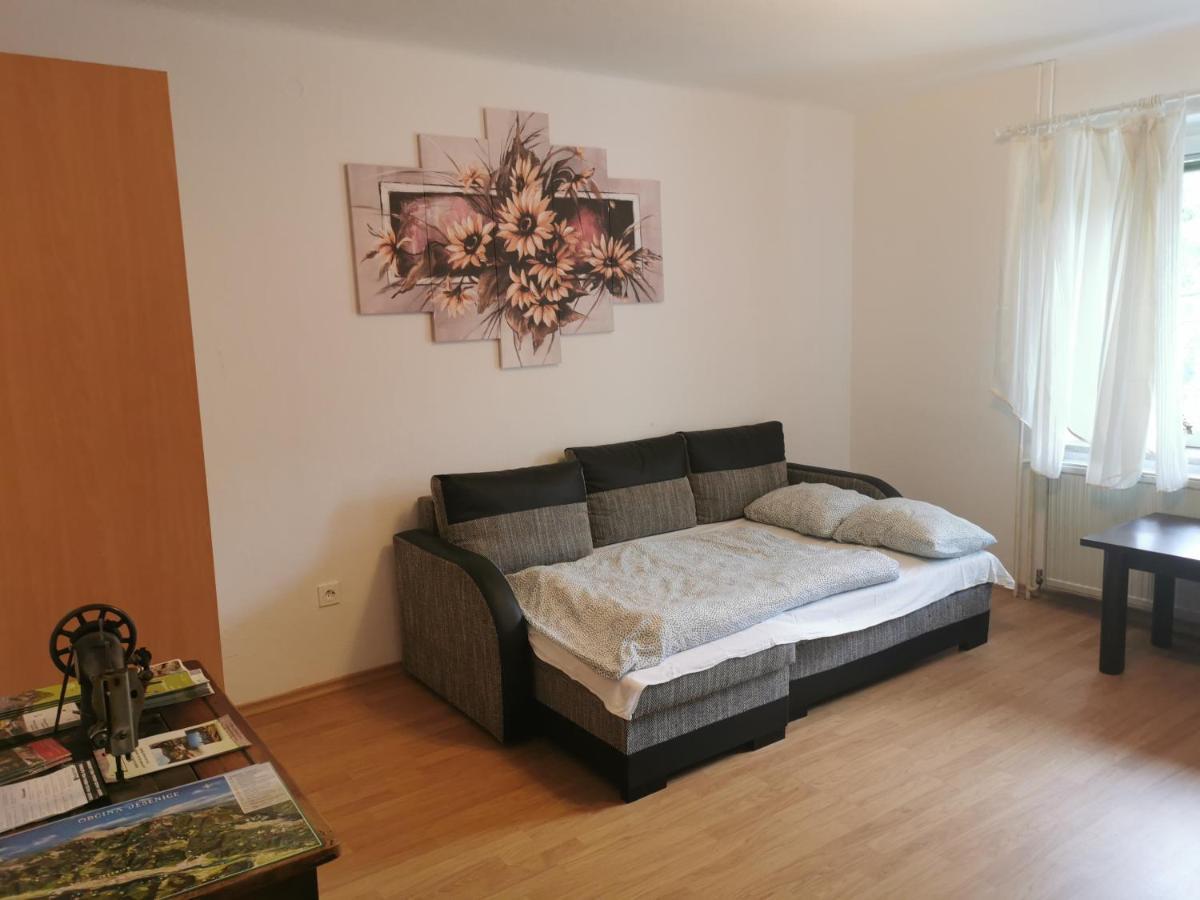 Apartma Rekar - A House, Where You Can Relax In The Embrace Of Nature Есенице Экстерьер фото